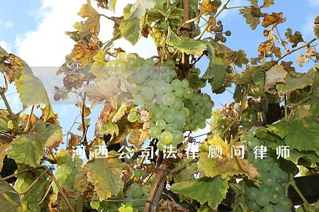 河西公司法律顾问律师 河西公司法律顾问律师