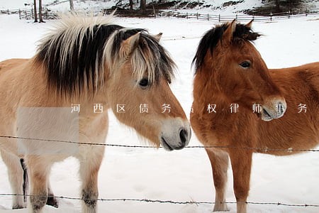 河西区债务债权律师事务所 河西区债务债权律师事务所