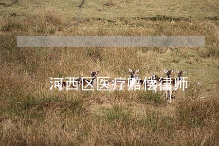 河西区医疗赔偿律师 河西区医疗赔偿律师