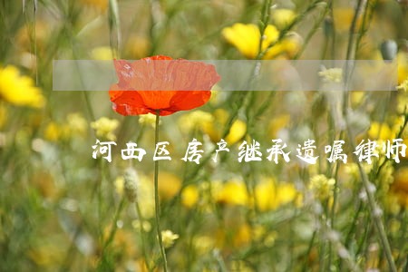 河西区房产继承遗嘱律师 河西区房产继承遗嘱律师