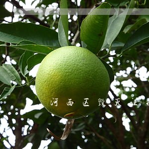 河西区毁灭证据罪律师联系方式 河西区毁灭证据罪律师联系方式