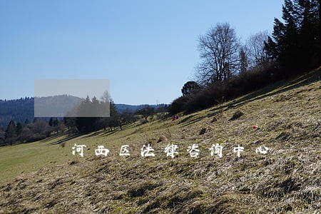 河西区法律咨询中心