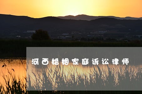 河西婚姻家庭诉讼律师 河西婚姻家庭诉讼律师