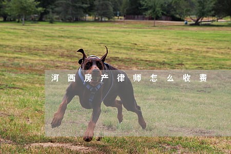 河西房产律师怎么收费