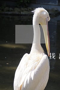 河西找离婚律师电话 河西找离婚律师电话