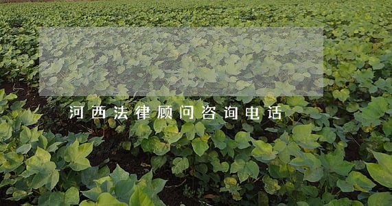 河西法律顾问咨询电话 河西法律顾问咨询电话