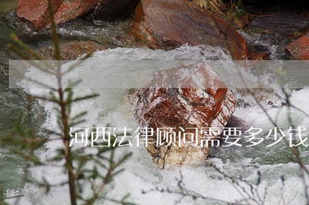 河西法律顾问需要多少钱 河西法律顾问需要多少钱