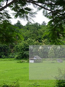 河西经济债务纠纷律师 河西经济债务纠纷律师