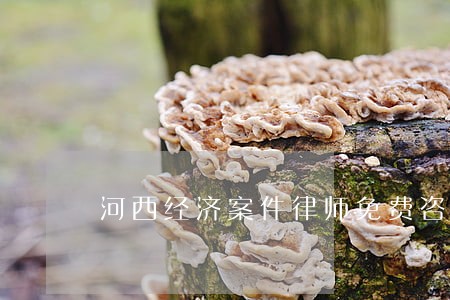 河西经济案件律师免费咨询 河西经济案件律师免费咨询
