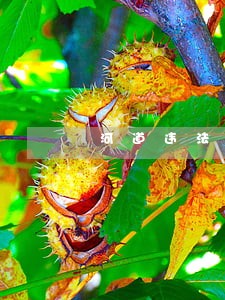 河道违法建筑强拆简报 河道违法建筑强拆简报