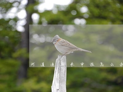 河道逾期未申报怎么办 河道逾期未申报怎么办