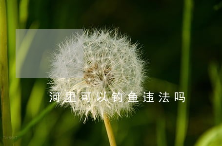 河里可以钓鱼违法吗