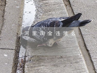 河里淘金违法么