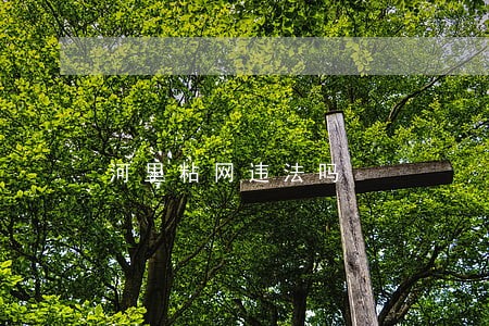 河里粘网违法吗 河里粘网违法吗