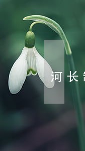 河长制法规知识测试题