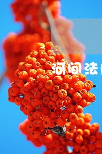 河间法院沙河桥事件 河间法院沙河桥事件
