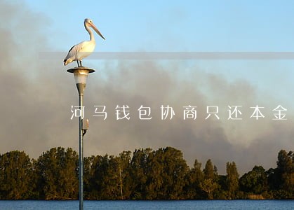 河马钱包协商只还本金 河马钱包协商只还本金