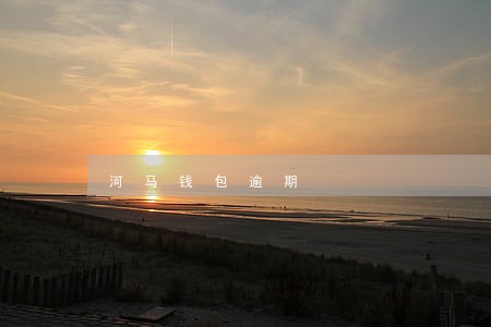 河马钱包逾期 河马钱包逾期