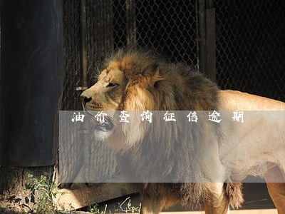 油价查询征信逾期 油价查询征信逾期