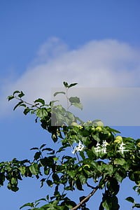 油罐车违法加油归哪个部门监管 油罐车违法加油归哪个部门监管