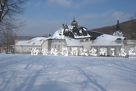 治安处罚罚款逾期了怎么办 治安处罚罚款逾期了怎么办