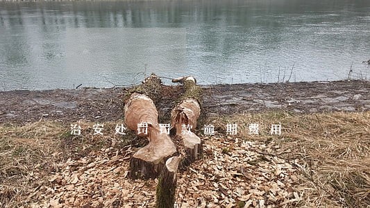 治安处罚罚款逾期费用 治安处罚罚款逾期费用