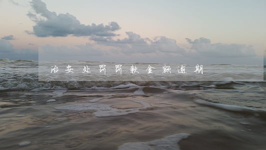 治安处罚罚款金额逾期 治安处罚罚款金额逾期