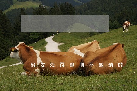 治安处罚逾期不缴纳的 治安处罚逾期不缴纳的