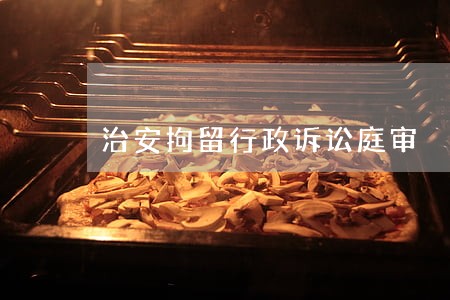 治安拘留行政诉讼庭审