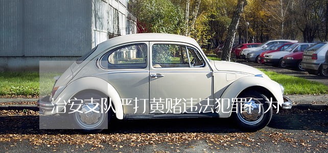 治安支队严打黄赌违法犯罪行为 治安支队严打黄赌违法犯罪行为