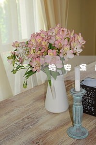 治安案底违法记录