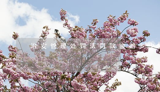 治安管理处罚法罚款逾期多少日 治安管理处罚法罚款逾期多少日