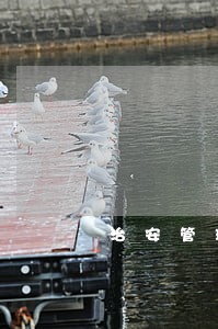 治安管理处罚罚款逾期