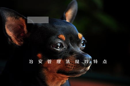 治安管理法规的特点 治安管理法规的特点