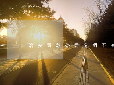 治安罚款处罚逾期不交的 治安罚款处罚逾期不交的
