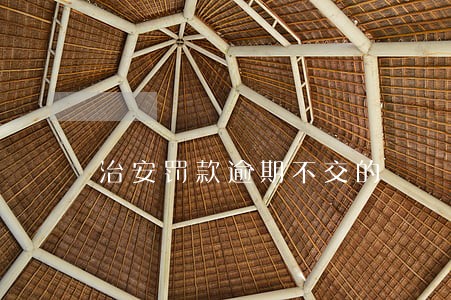 治安罚款逾期不交的 治安罚款逾期不交的