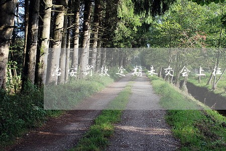 治安罚款逾期未交会上征信吗 治安罚款逾期未交会上征信吗
