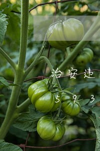 治安违法记录消除序/2023020145937