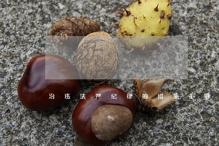 治违法严纪律的措施不够 治违法严纪律的措施不够