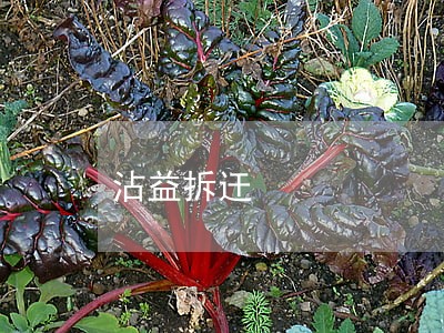 沾益拆迀 沾益拆迀