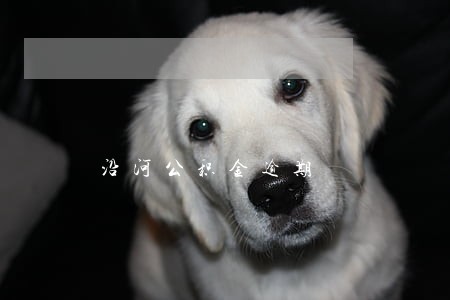 沿河公积金逾期