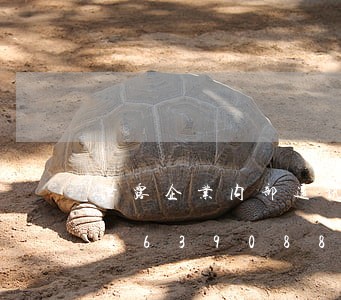 泄露企业内部通讯录违法吗/2023012639088 泄露企业内部通讯录违法吗/2023012639088