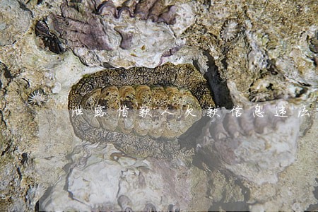 泄露借款人欠款信息违法吗