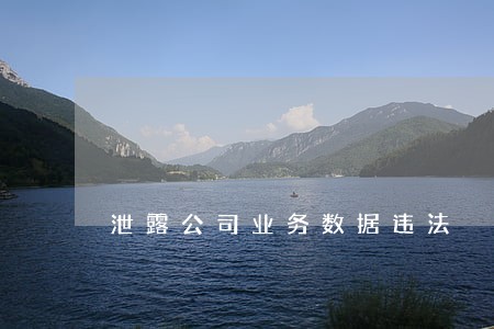 泄露公司业务数据违法