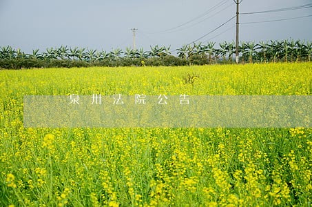 泉卅法院公告