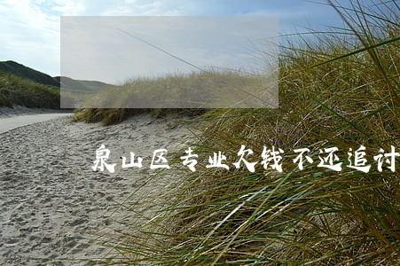 泉山区专业欠钱不还追讨律师 泉山区专业欠钱不还追讨律师