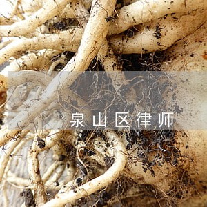 泉山区律师 泉山区律师