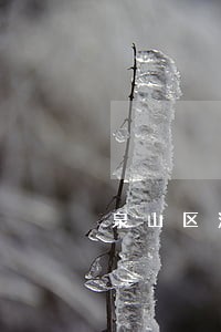 泉山区法院执行庭 泉山区法院执行庭