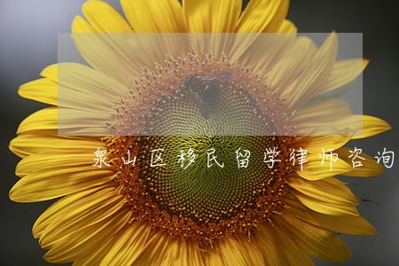 泉山区移民留学律师咨询电话 泉山区移民留学律师咨询电话