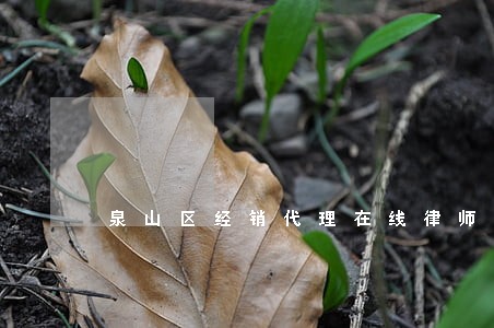 泉山区经销代理在线律师 泉山区经销代理在线律师